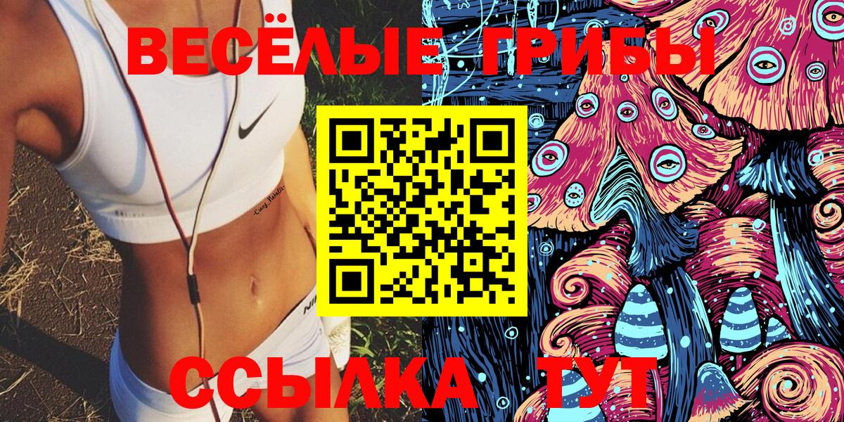 Галлюциногенные грибы прущие грибы Грозный